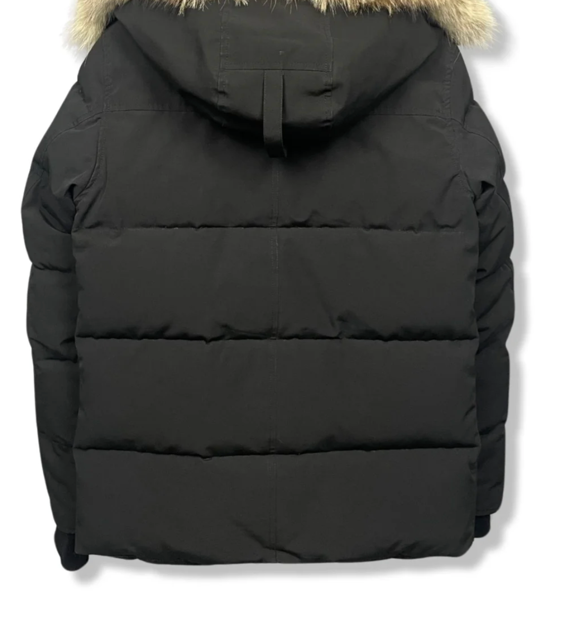 Canada goose wyndham